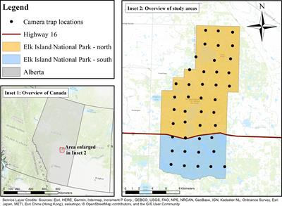 Bison and elk spatiotemporal interactions in Elk Island National Park